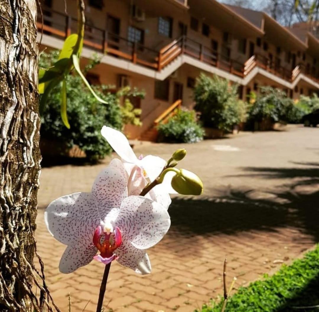 Hotel Pousada Santa Rita 里贝朗普雷托 外观 照片