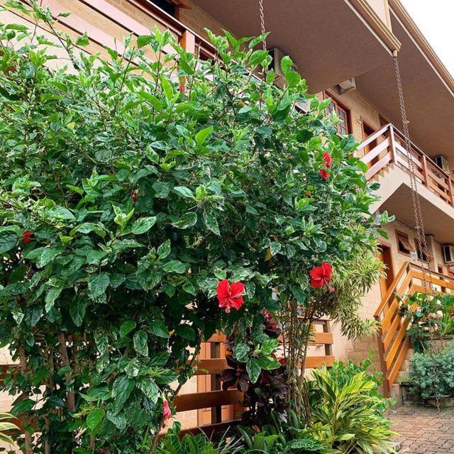 Hotel Pousada Santa Rita 里贝朗普雷托 外观 照片